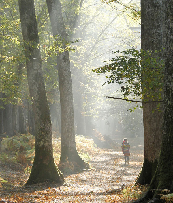 experience-immersion-nature-a-pied Petite fille qui se balade dans la forêt de Boutissaint