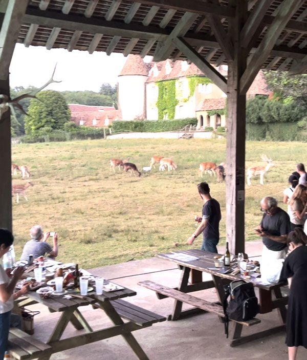 experience-immersion-nature-a-table Repas en extérieur devant les animaux au parc naturel de Boutissaint