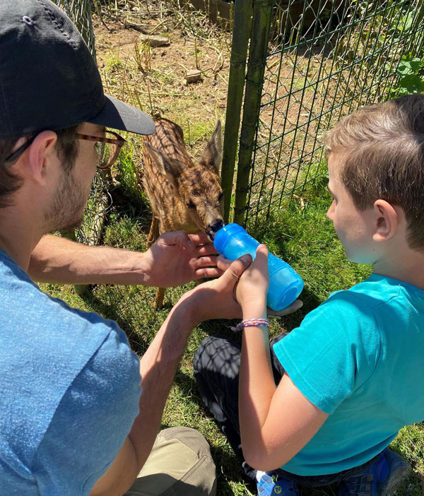 experience-immersion-nature-pour-découvrir Enfant et son père donnant le biberon à un bébé biche