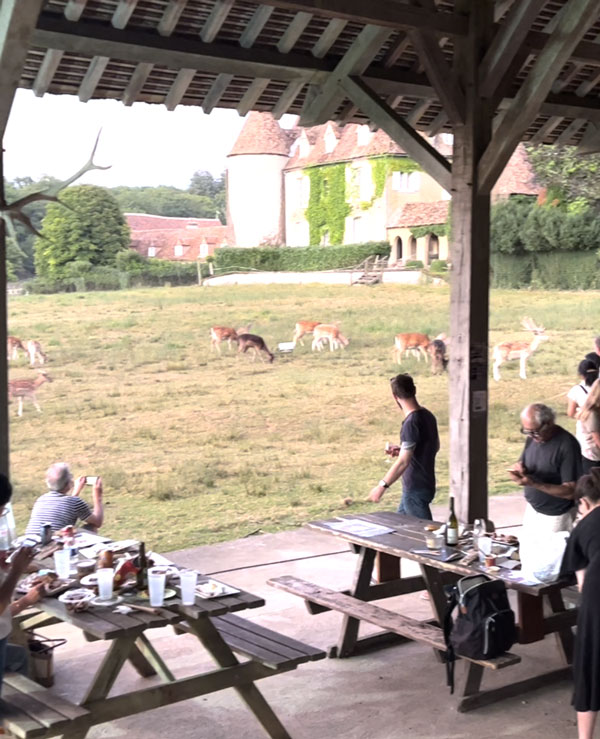 nos-rendez-vous-boutissaint-soiree-a-theme Déjeuner en extérieur devant les animaux dans le parc naturel de Boutissaint