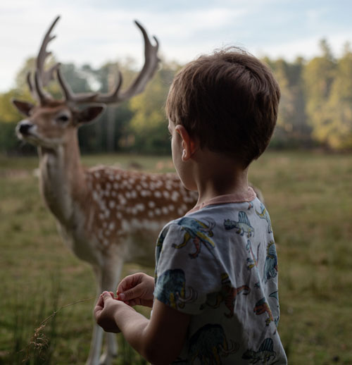 conseils-de-visite-boutissaint-devenez-un-bon-observateur-mobile enfant devant une biche