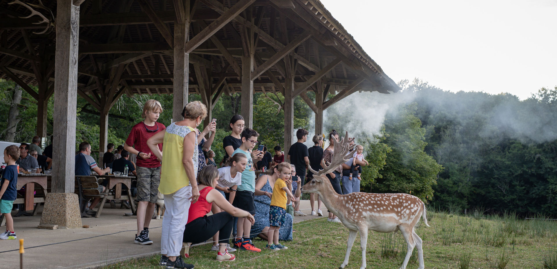 reservation-restauration-et-accès-Boutissaint-header Biche approchant les le public dans le parc naturel de Boutissaint