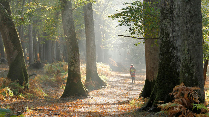 reservation-restauration-et-accès-Boutissaint-réserver-tablette enfant qui marche dans la forêt du parc naturel de Boutissaint