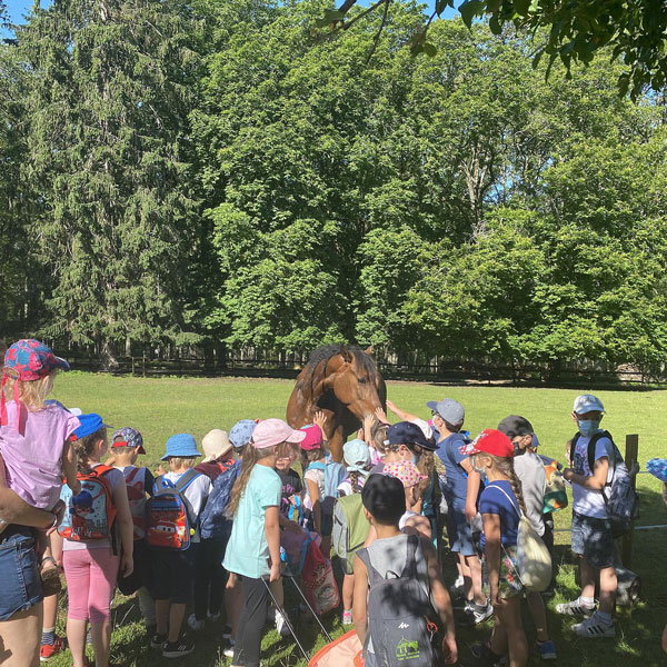 scolaires-boutissaint-mobile groupes d'enfants autour d'un cheval dans le parc naturel de Boutissaint
