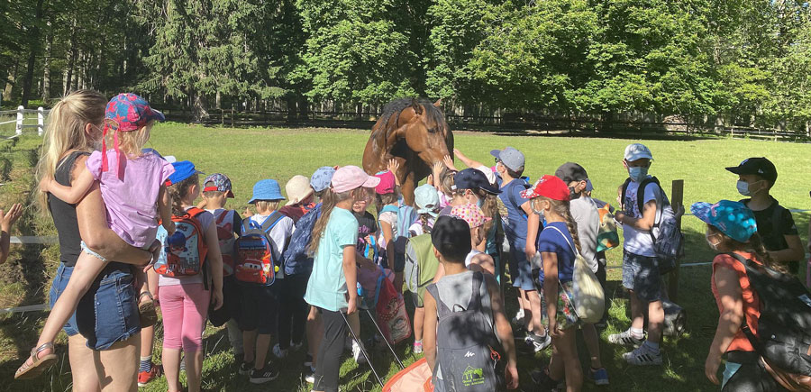 scolaires-boutissaint-tablette groupes d'enfants autour d'un cheval dans le parc naturel de Boutissaint