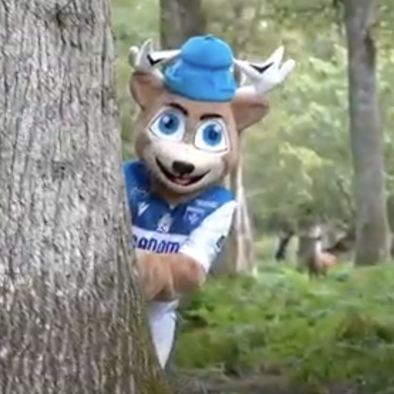 Mascotte de l'AJA Auxerre dans le parc naturel de Boutissaint